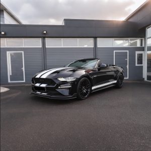 Ford Mustang 55 Year Anniversary Edition Cabriolet